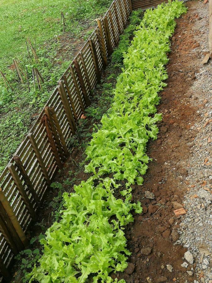 Home Garden Chaeson บ้านสวน ชวนฝัน Lampang Exterior foto